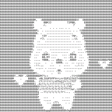 Teddy 🧸🎩🍖🐹