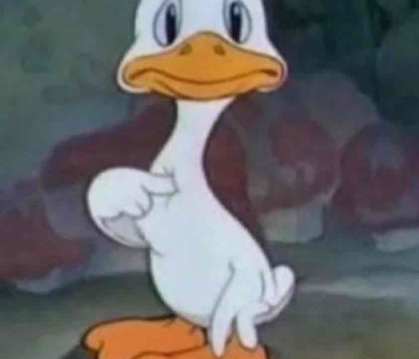 devoo