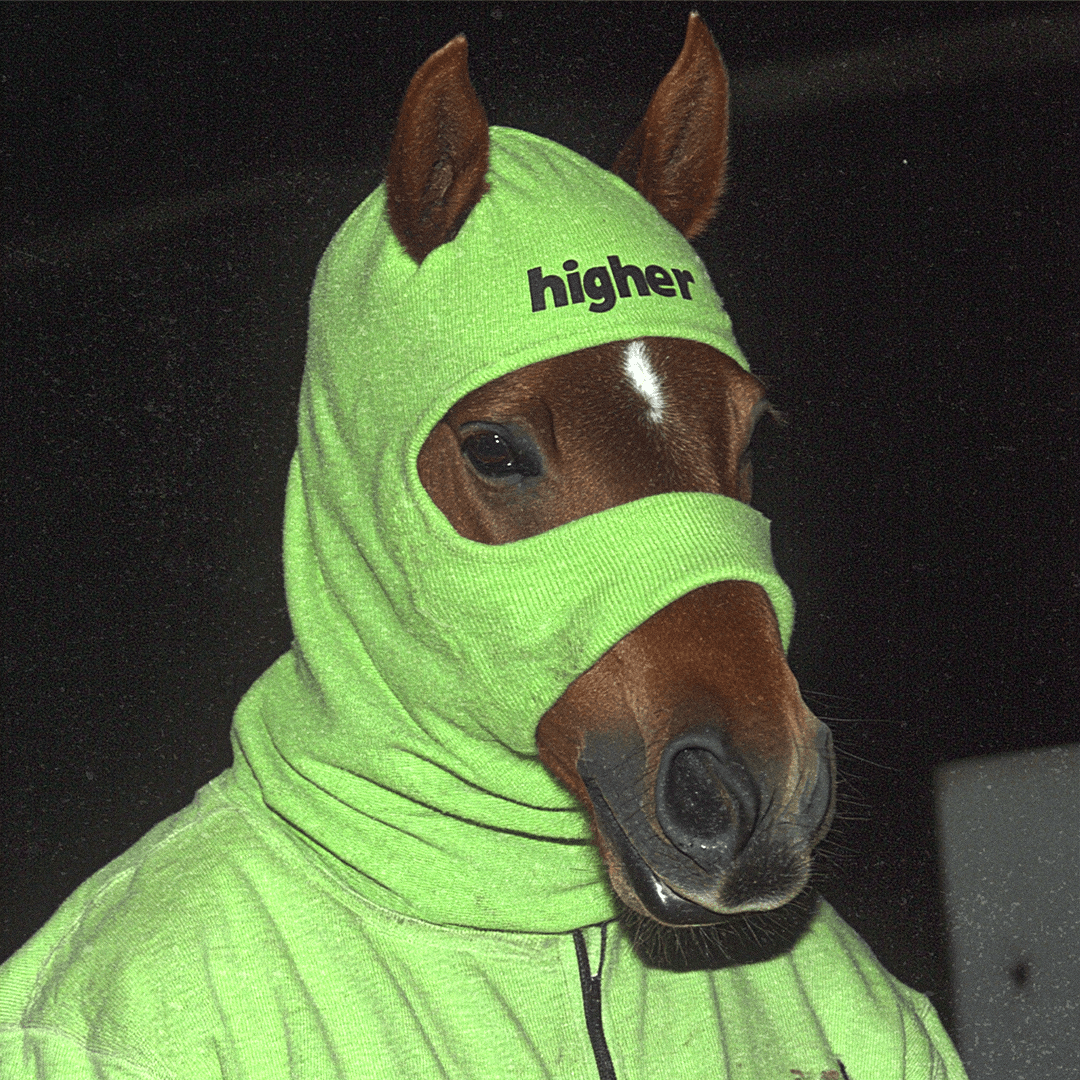 horsefacts