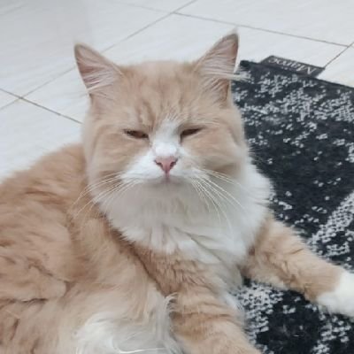 Aisyah