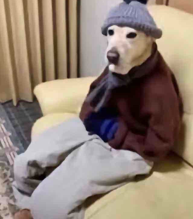 Holmes (not Sherlock)