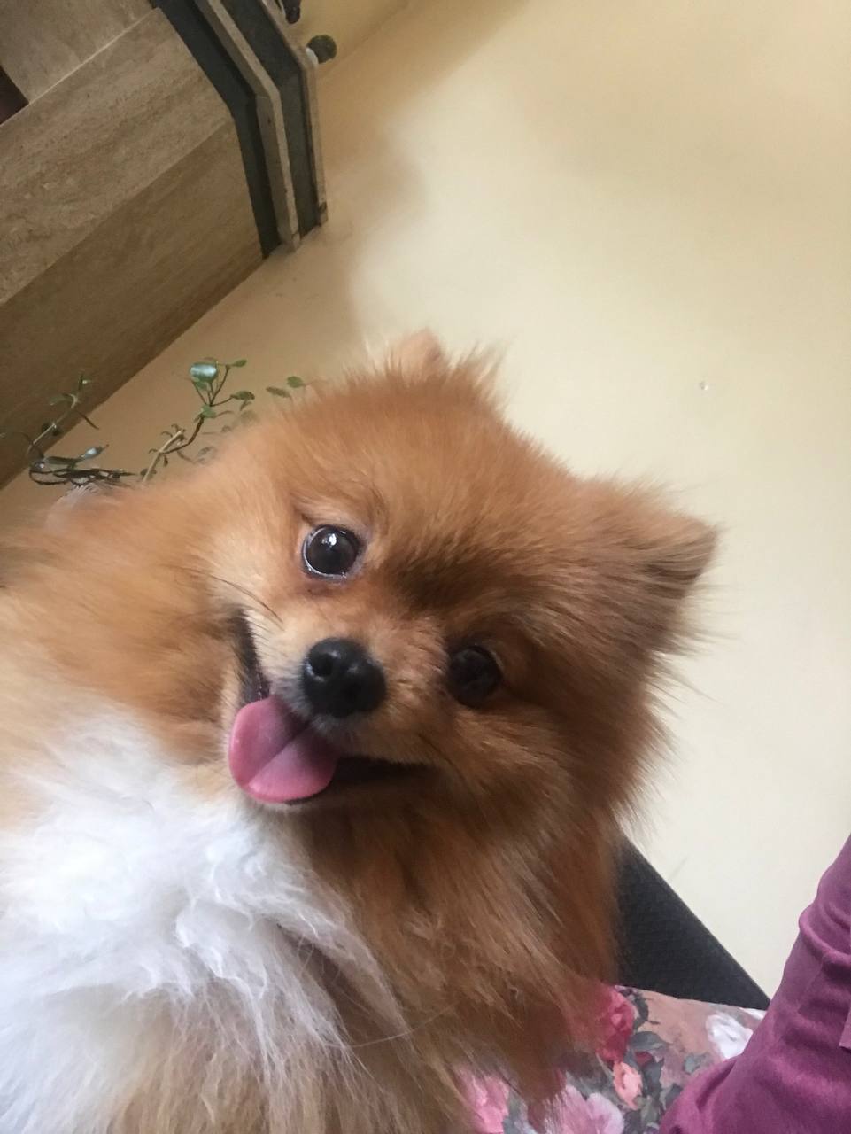 Danny