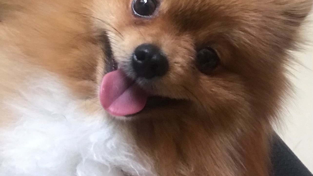 Danny