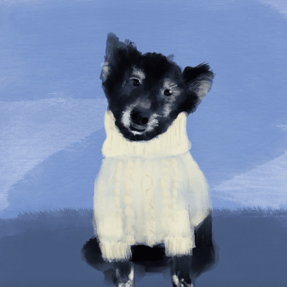 guinnessdog.base.eth