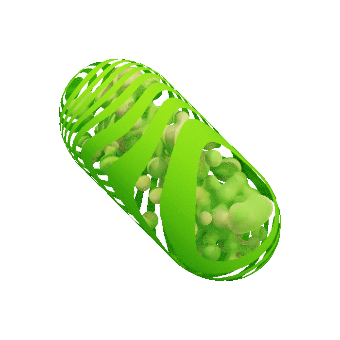 Greenpill Network