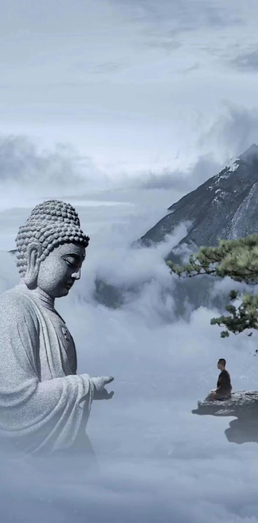 日拱一卒王小楼