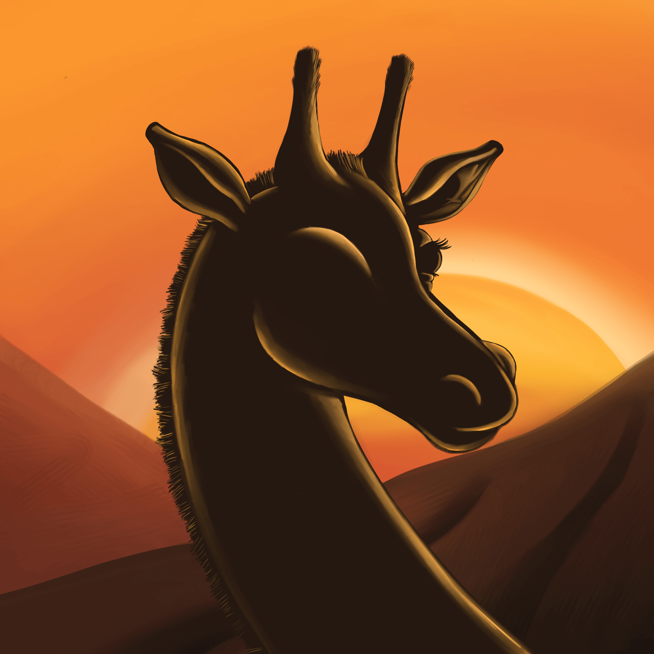 tokenofgratitude.eth