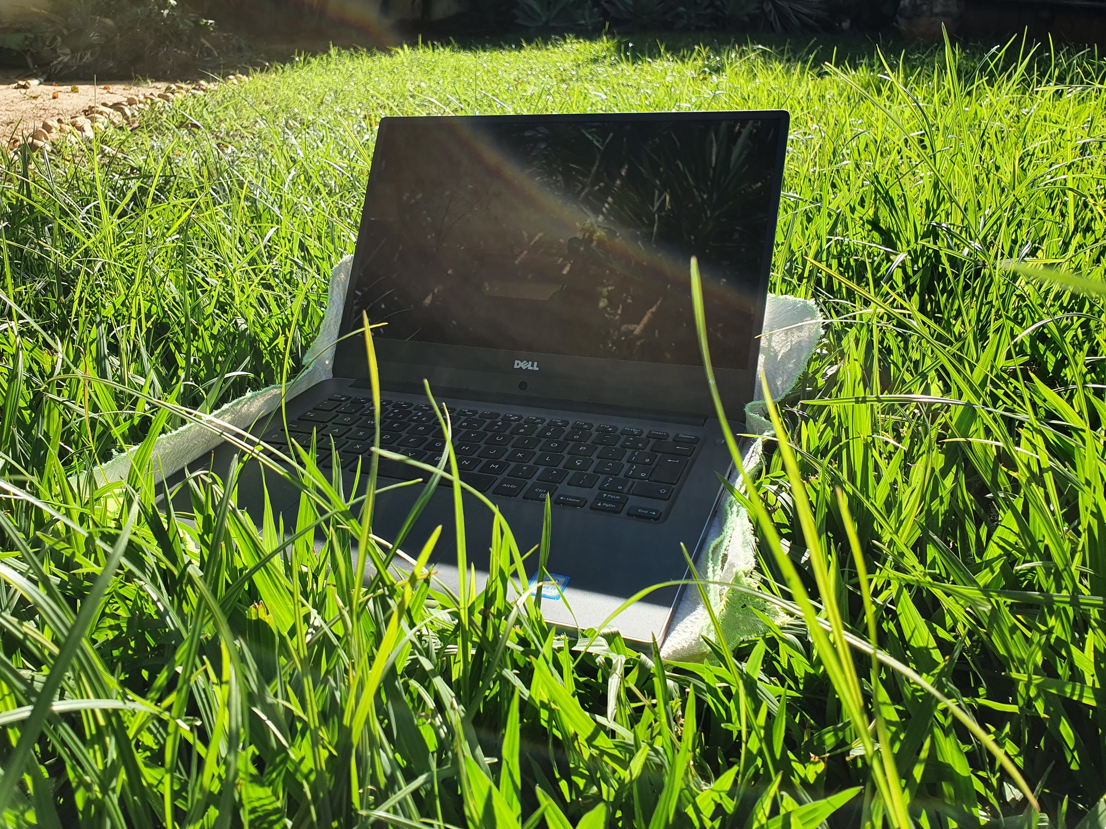 The Digital Meadow