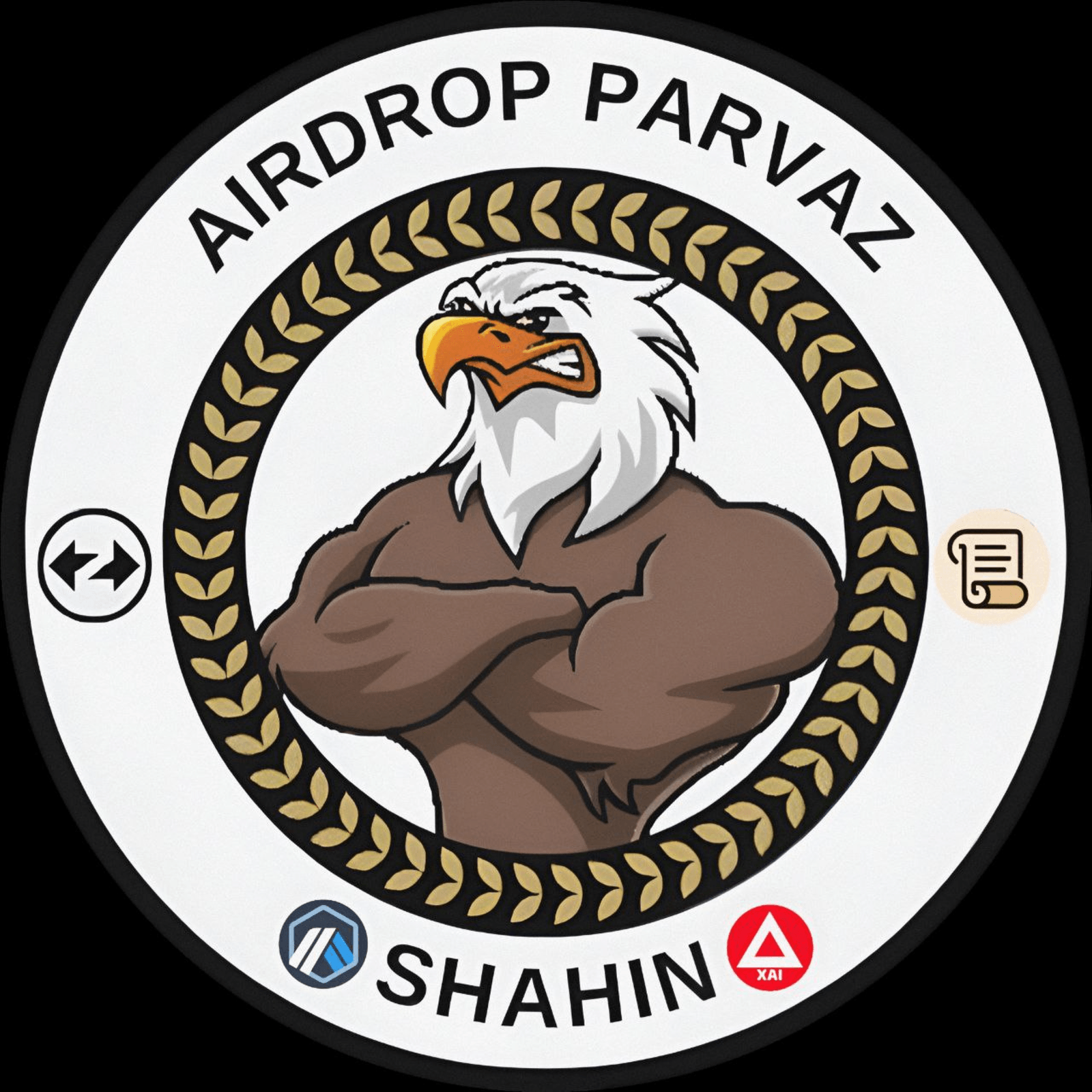 Parvaz Air