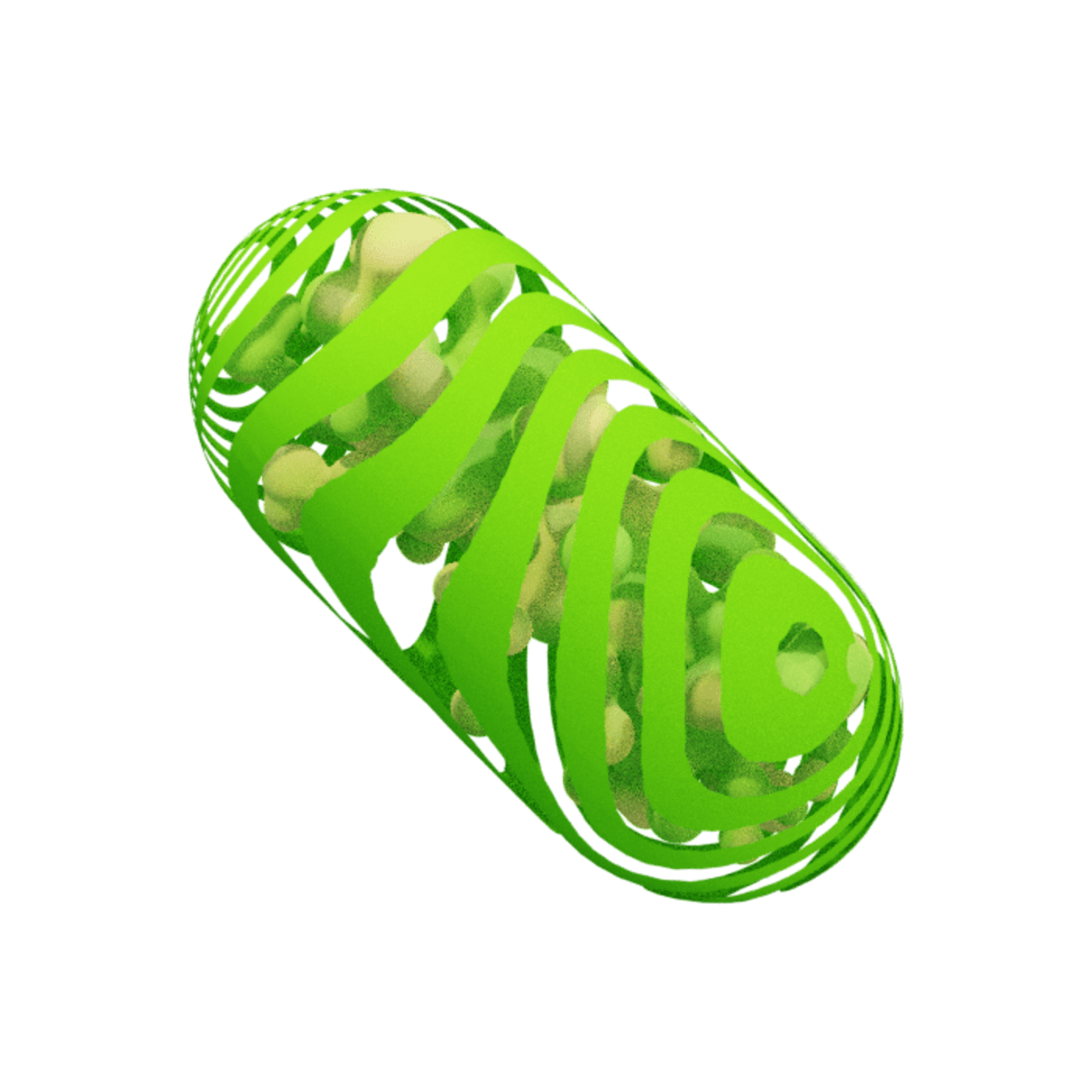 Greenpill Network