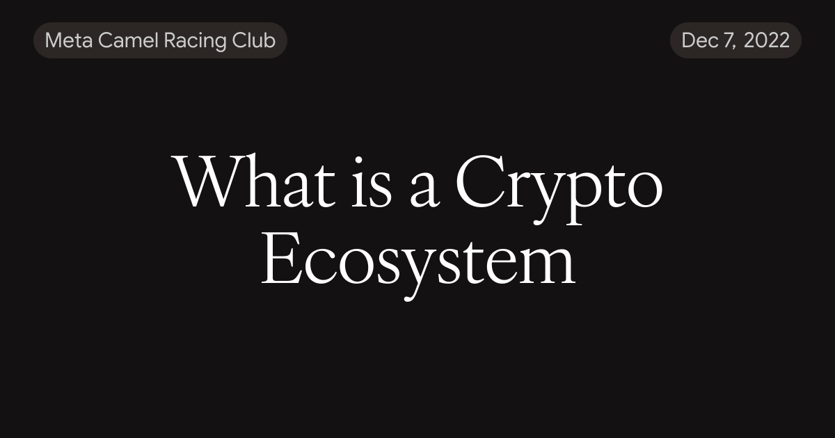 What is a Crypto Ecosystem