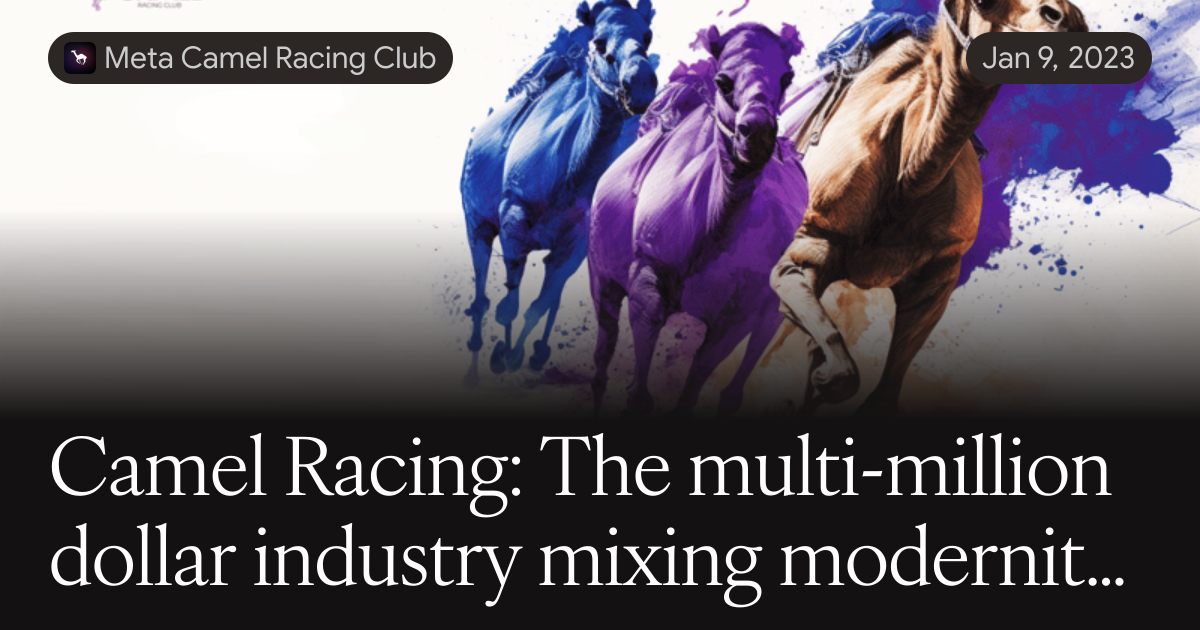 Camel Races Cnc Camel Racing: The multi-million dollar industry mixing modernity and ...